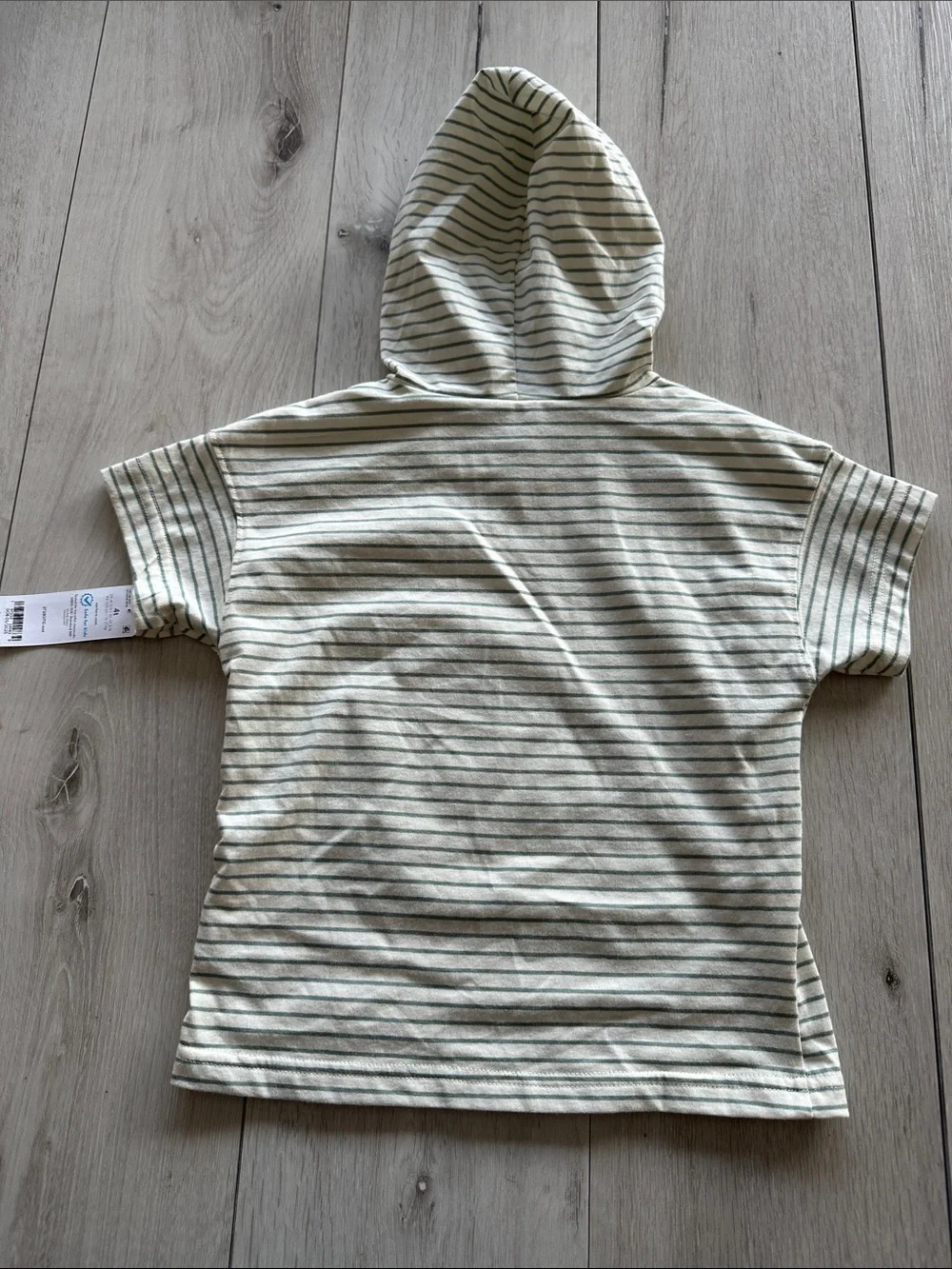 Carter’s 2-Piece Dinosaur Striped Hooded Tee & Jogger Set Multi 4T NWT